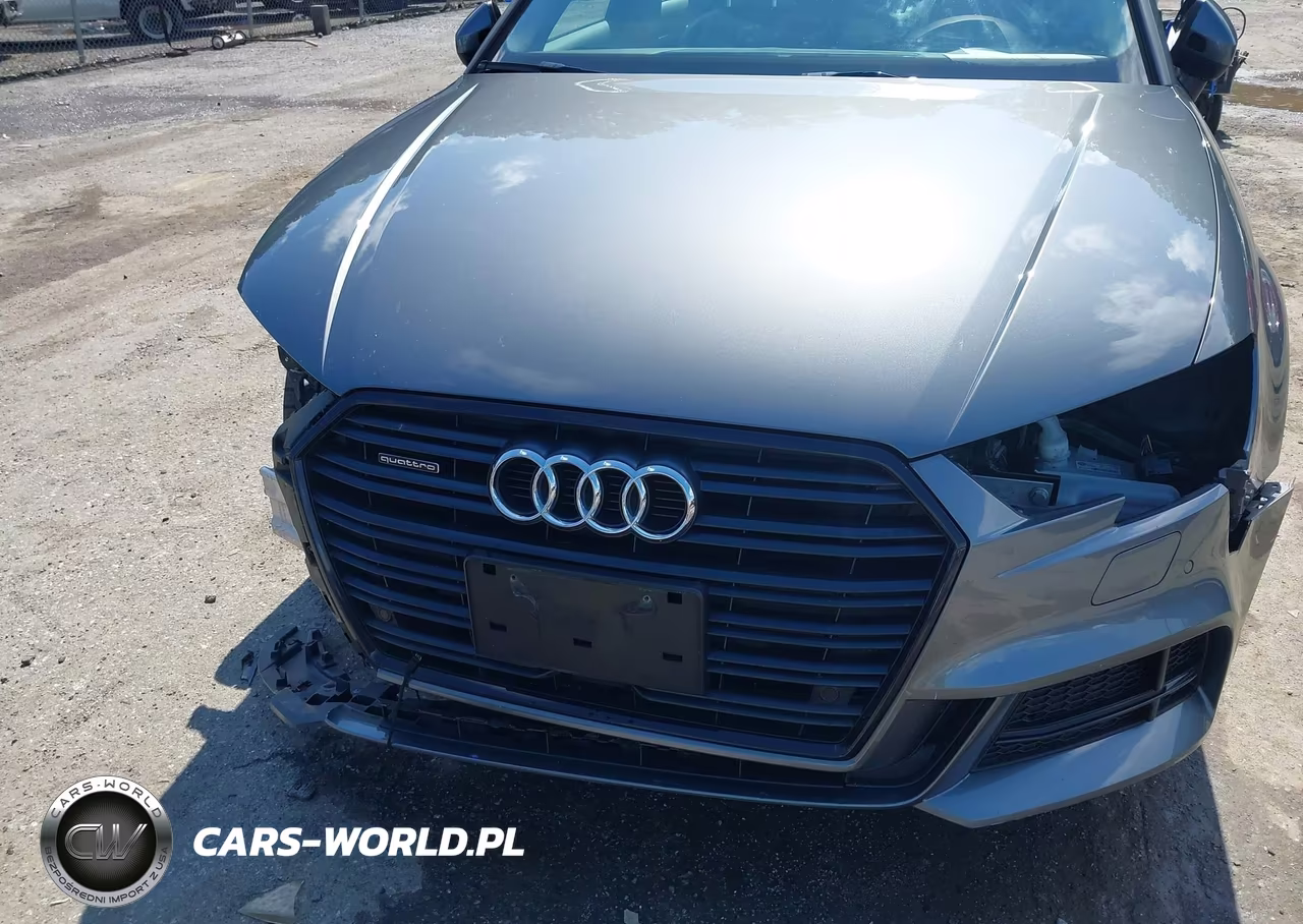 2020 Audi A3 Premium 45 Tfsi S Line Quattro S Tronic VIN:WAUBEGFF1LA102630 - 12