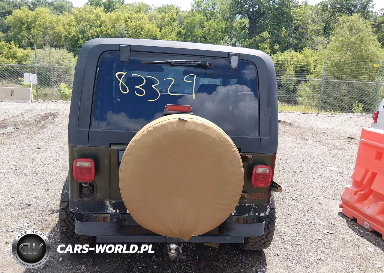 1995 Jeep Wrangler - Yj Sahara VIN:1J4FY49S6SP266058 - 6