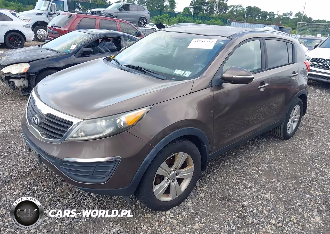 2013 Kia Sportage Lx VIN:KNDPB3A29D7391768 - 2