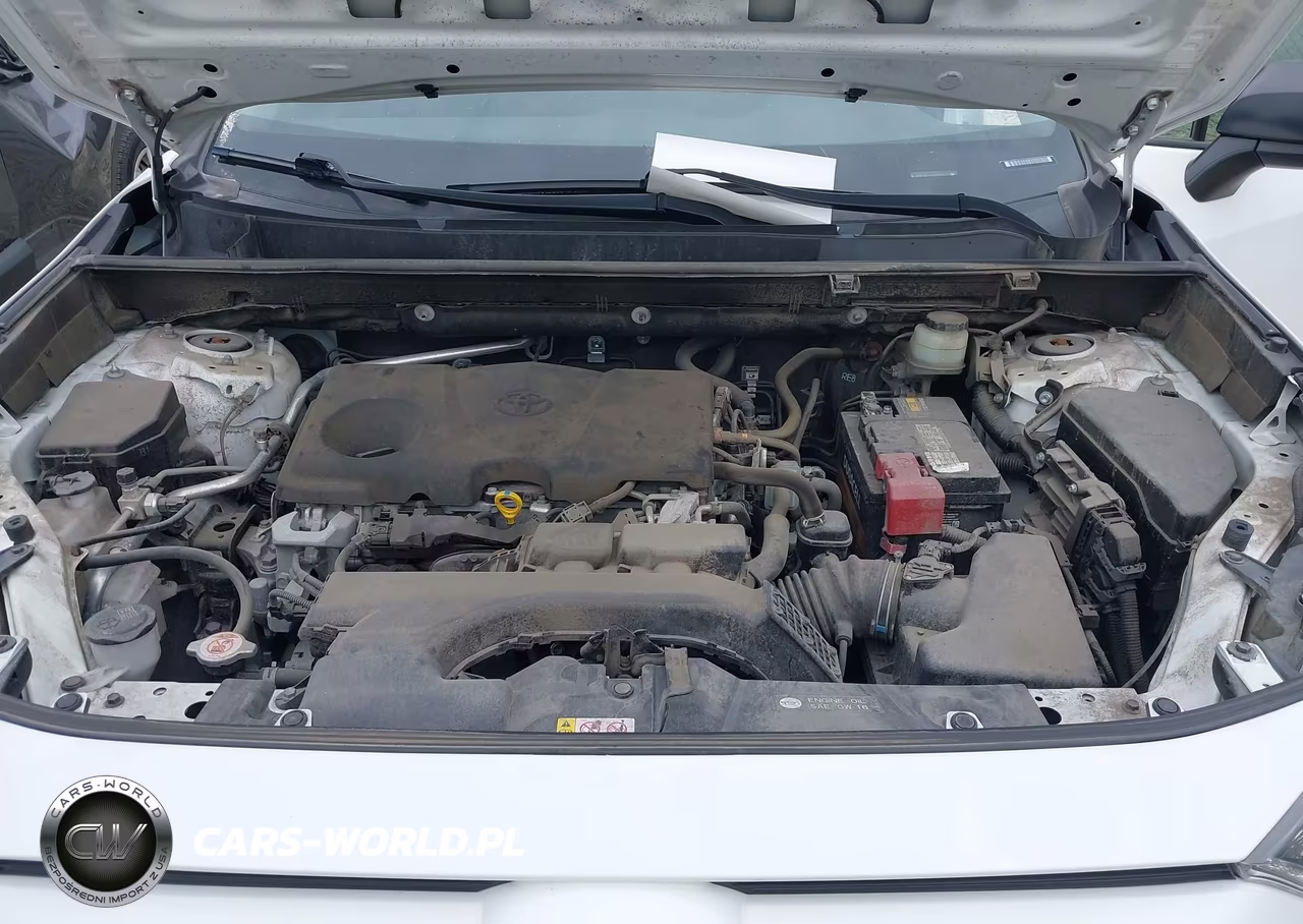 2019 Toyota Rav4 Le VIN:JTMH1RFV1KD033625 - 10
