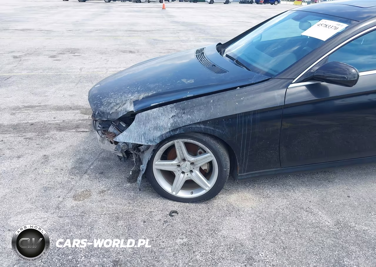 2009 Mercedes-Benz Cls 550 VIN:WDDDJ72X79A148645 - 12