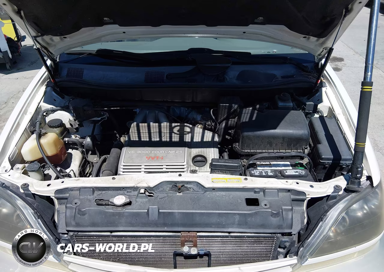 1999 Lexus Rx 300 VIN:JT6HF10U6X0023486 - 10