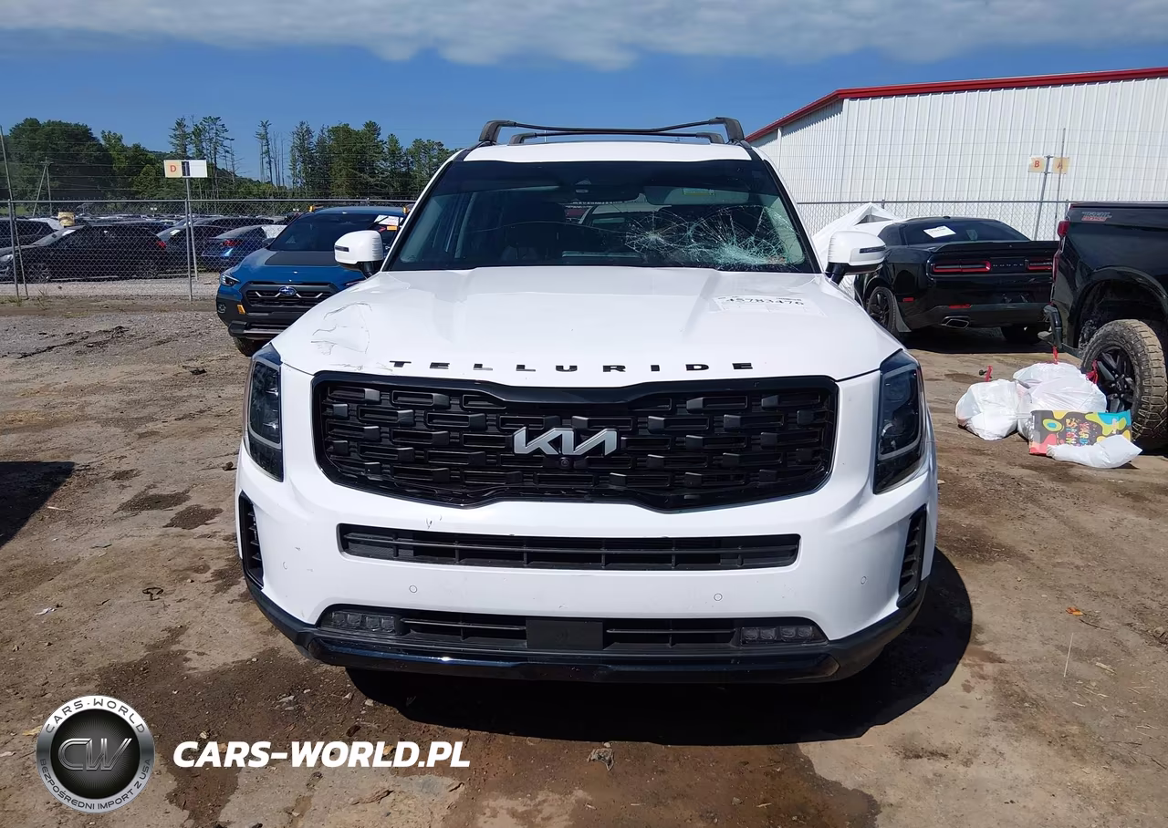 2022 Kia Telluride Sx VIN:5XYP5DHC3NG246337 - 12