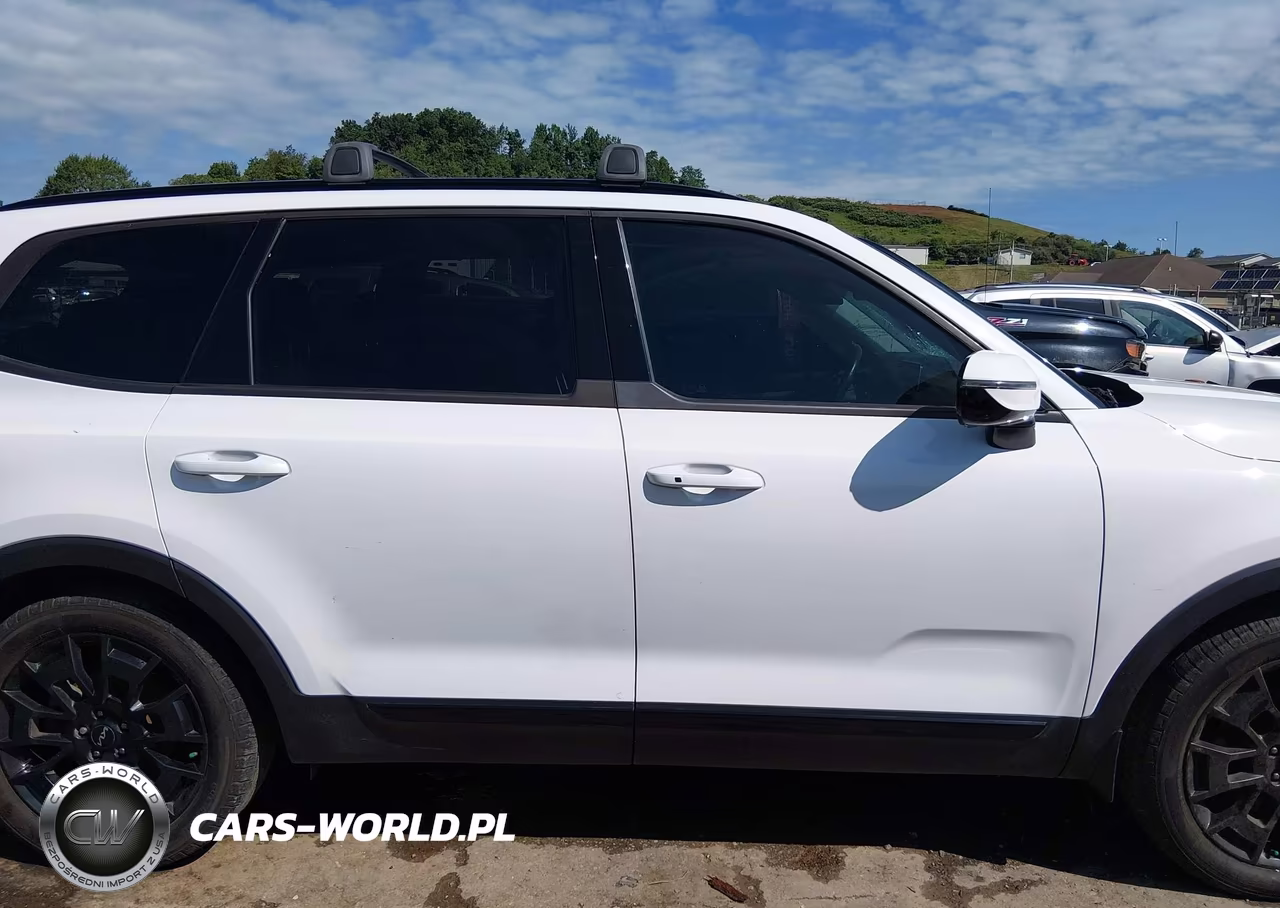 2022 Kia Telluride Sx VIN:5XYP5DHC3NG246337 - 13