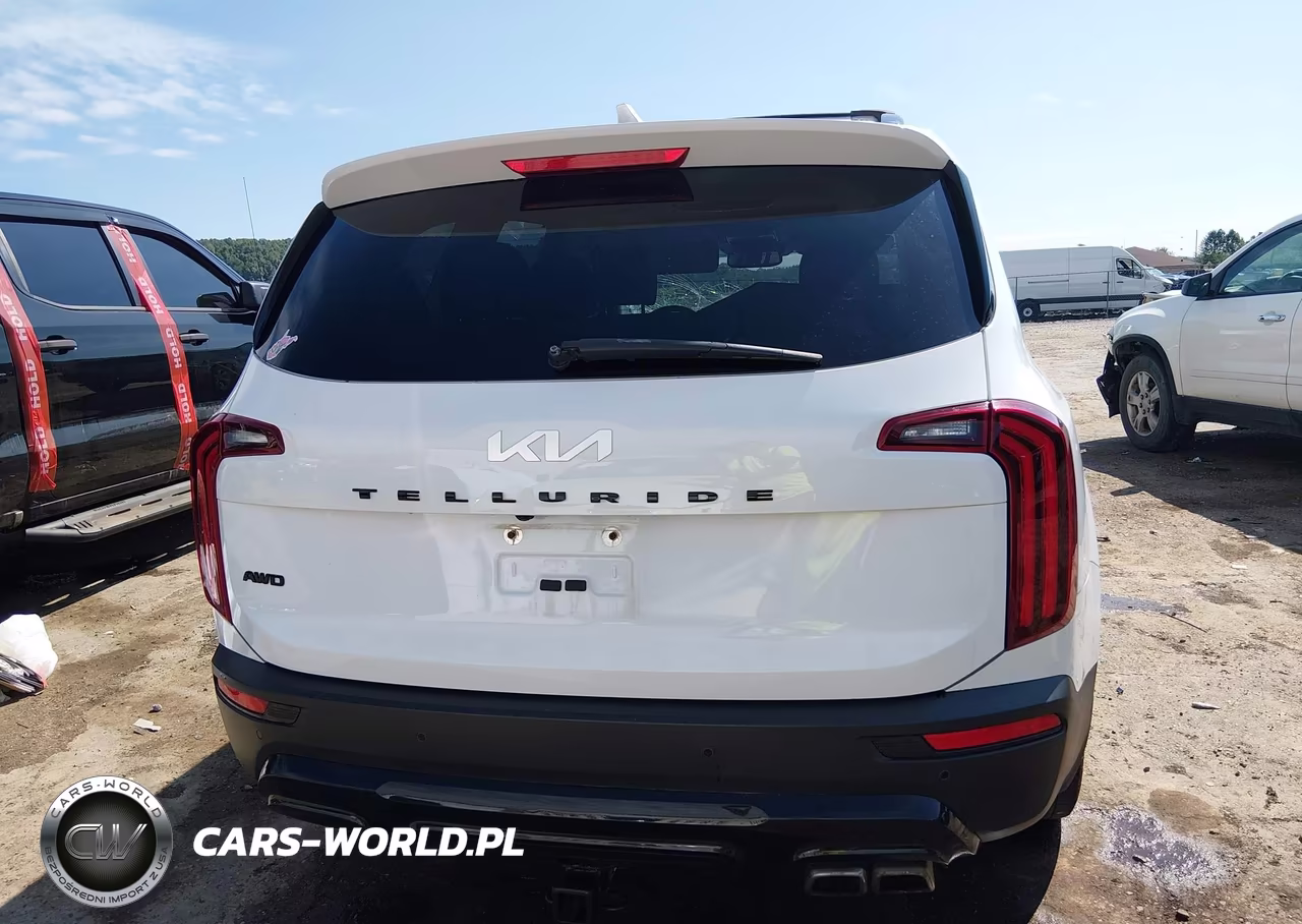 2022 Kia Telluride Sx VIN:5XYP5DHC3NG246337 - 16