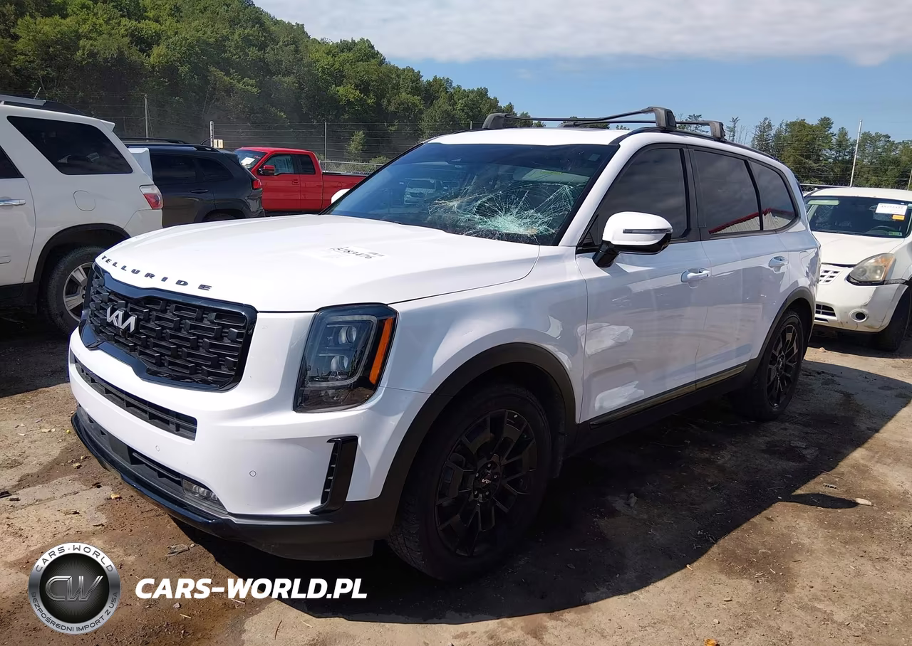 2022 Kia Telluride Sx VIN:5XYP5DHC3NG246337 - 2