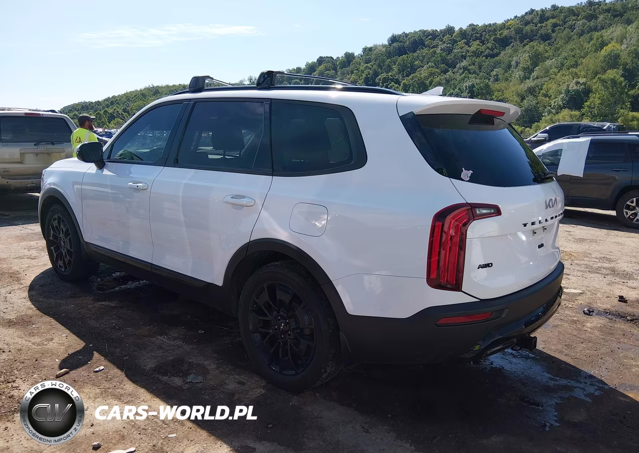 2022 Kia Telluride Sx VIN:5XYP5DHC3NG246337 - 3