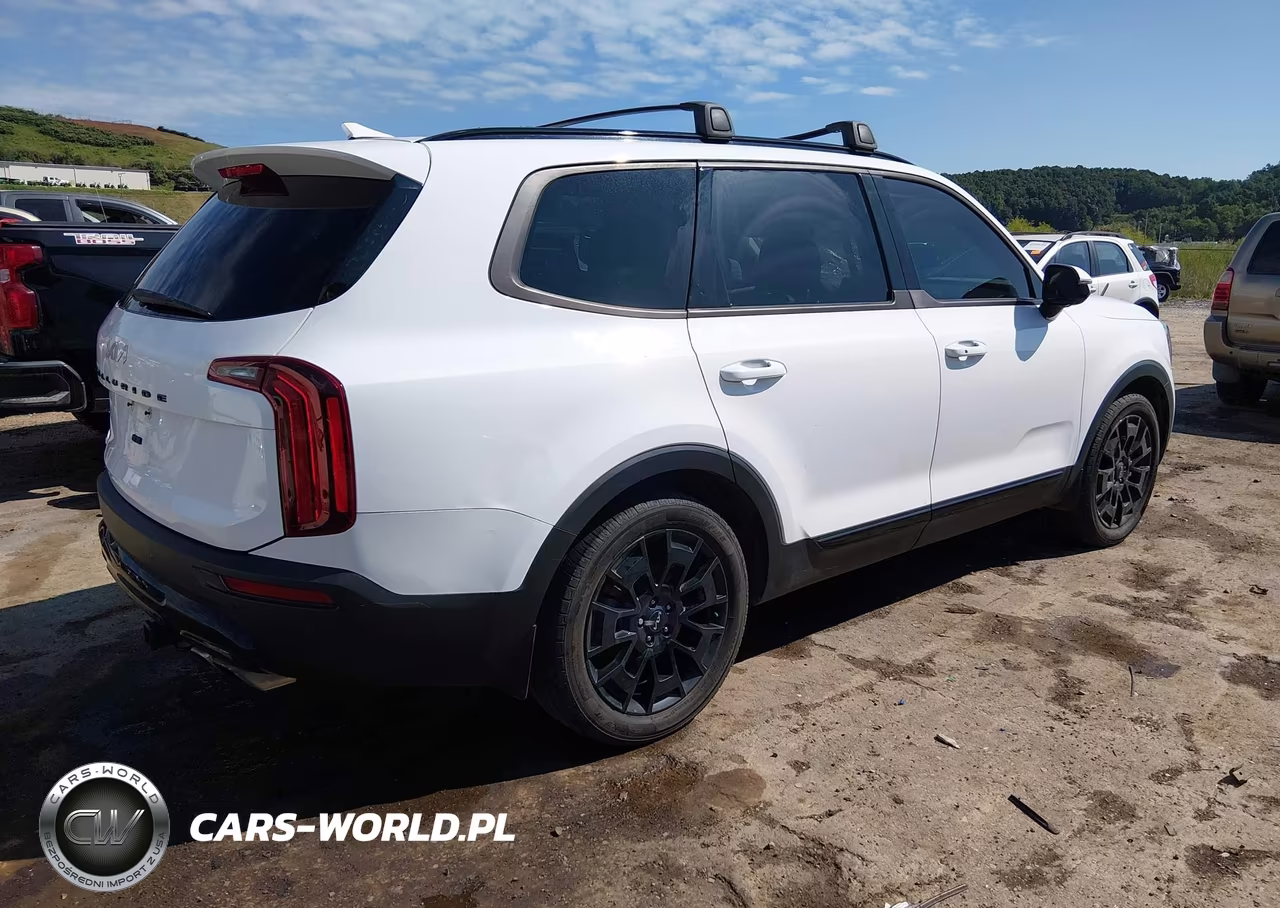 2022 Kia Telluride Sx VIN:5XYP5DHC3NG246337 - 4