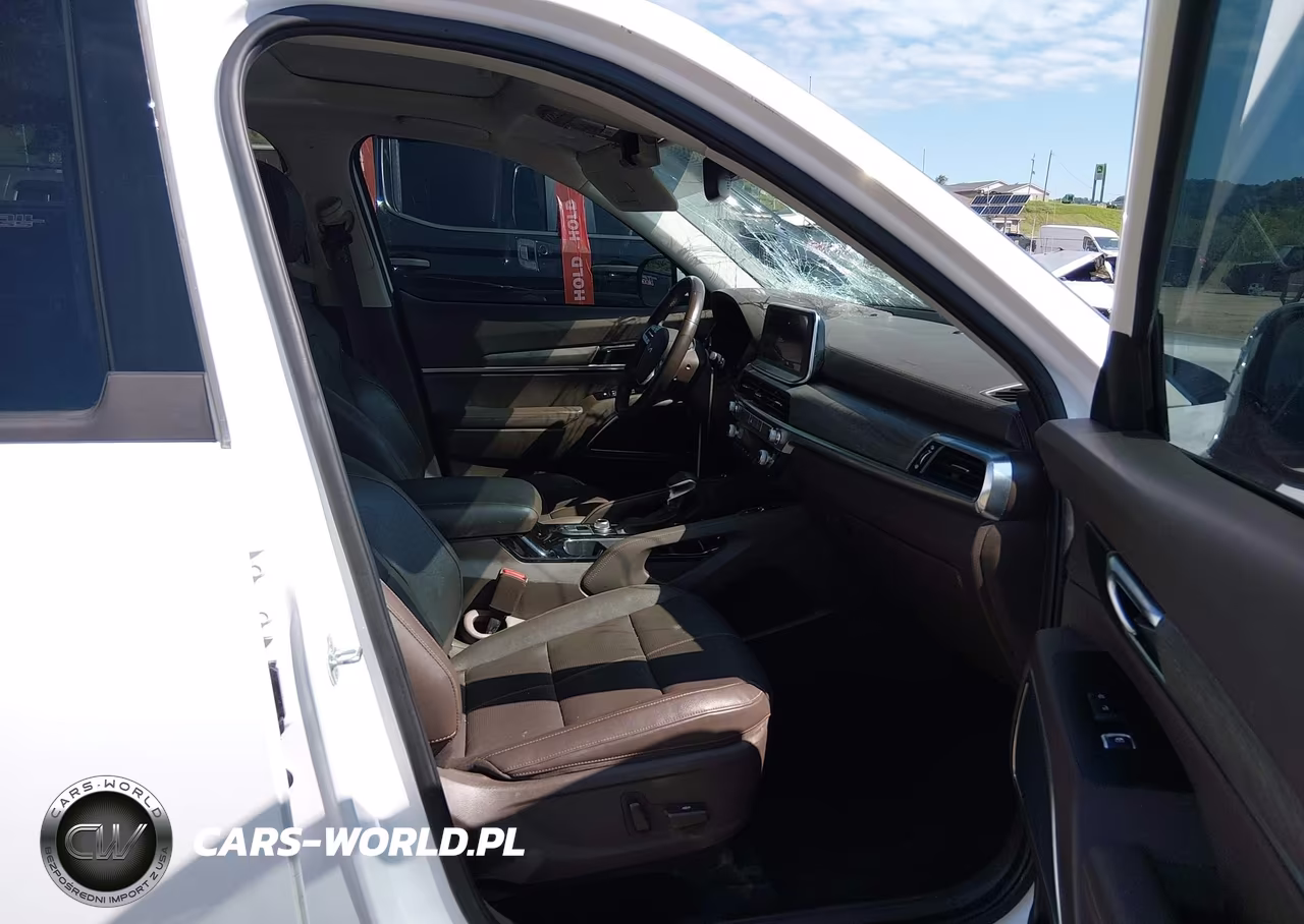 2022 Kia Telluride Sx VIN:5XYP5DHC3NG246337 - 5
