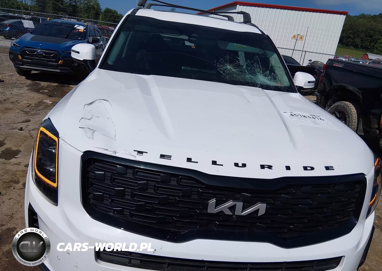 2022 Kia Telluride Sx VIN:5XYP5DHC3NG246337 - 6