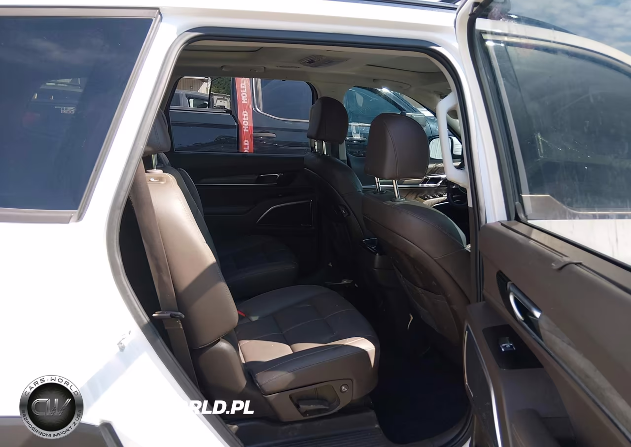 2022 Kia Telluride Sx VIN:5XYP5DHC3NG246337 - 8