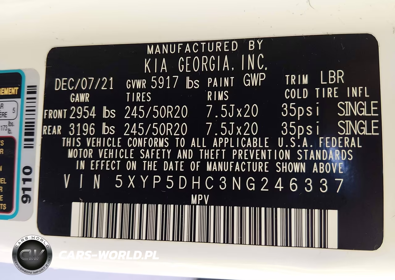 2022 Kia Telluride Sx VIN:5XYP5DHC3NG246337 - 9