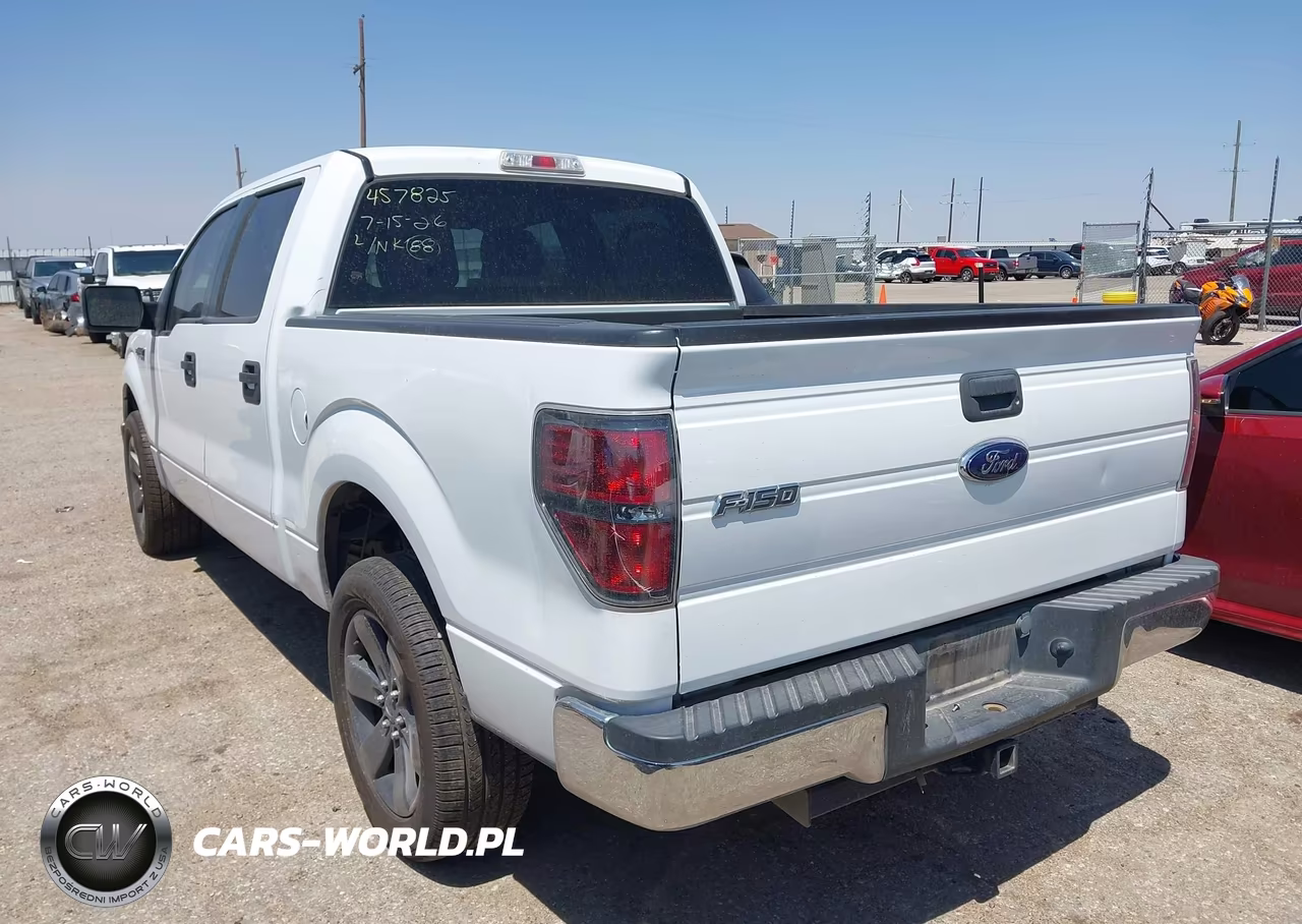 2010 Ford F-150 Fx2 Sport-Xl-Xlt VIN:1FTEW1C8XAFA10268 - 3