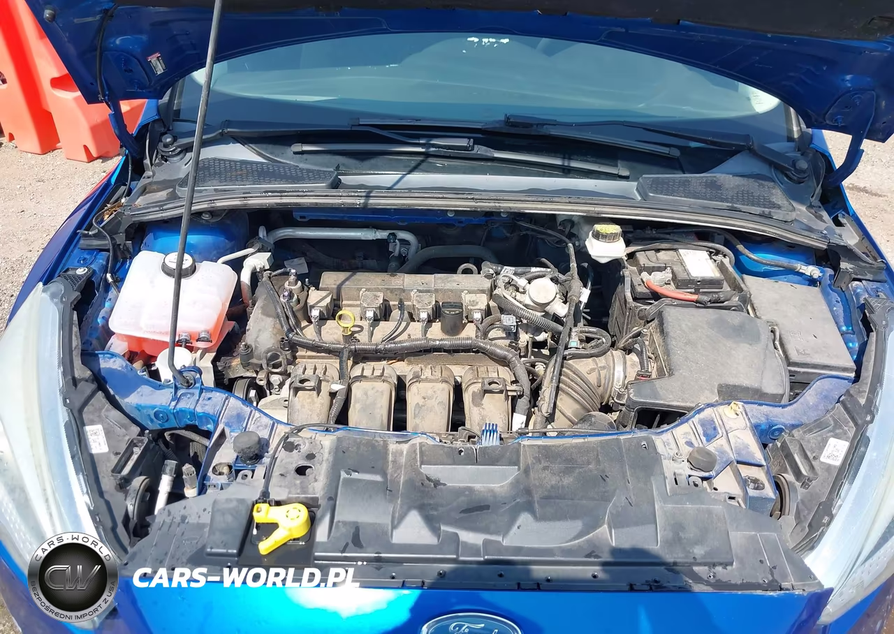 2018 Ford Focus Se VIN:1FADP3F21JL311577 - 10