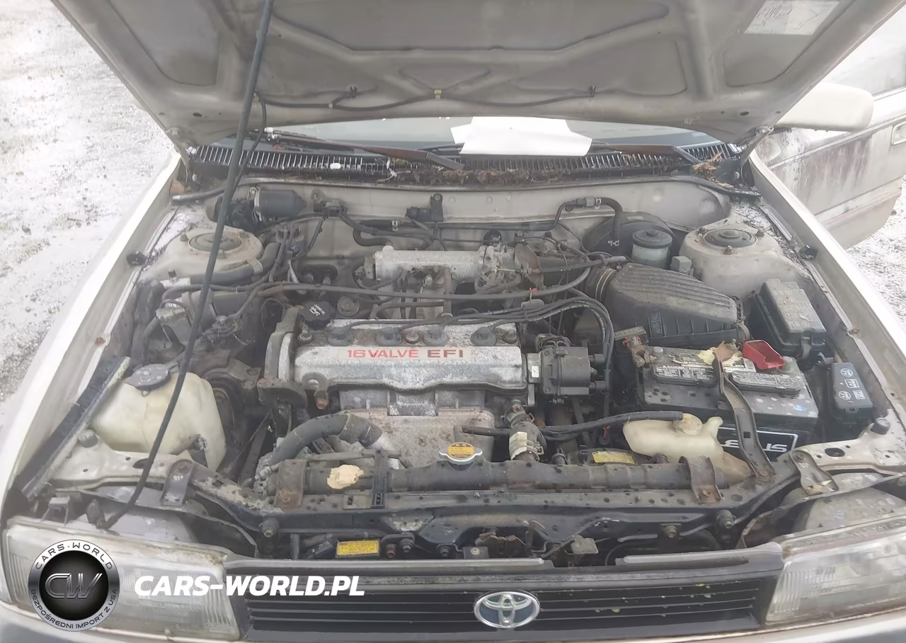 1991 Toyota Corolla Le-Dlx VIN:2T1AE97A0MC091890 - 10