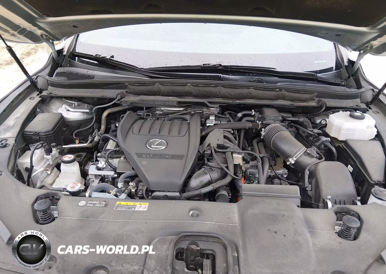 2024 Lexus Rx 500H F Sport Performance VIN:2T2BCMEA1RC014769 - 10
