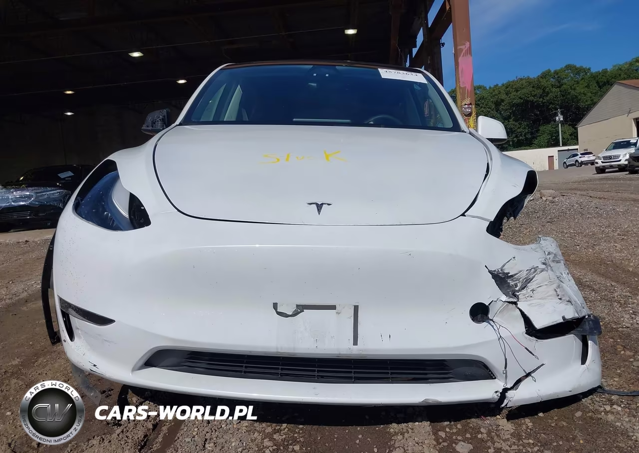 2024 Tesla Model Y Long Range Dual Motor All-Wheel Drive VIN:7SAYGDEE9RA225834 - 10