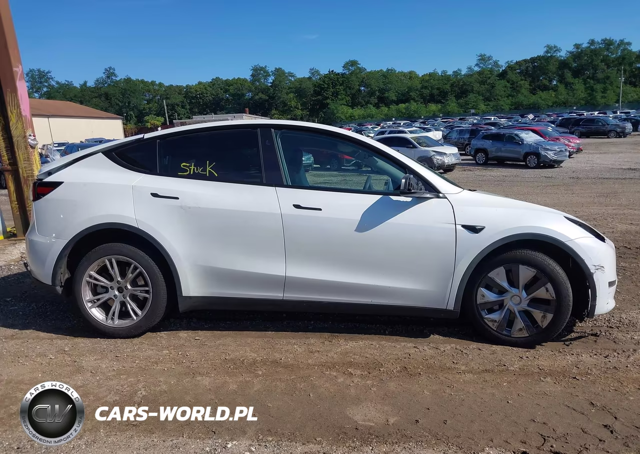 2024 Tesla Model Y Long Range Dual Motor All-Wheel Drive VIN:7SAYGDEE9RA225834 - 11