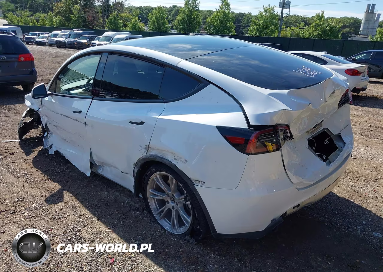 2024 Tesla Model Y Long Range Dual Motor All-Wheel Drive VIN:7SAYGDEE9RA225834 - 3
