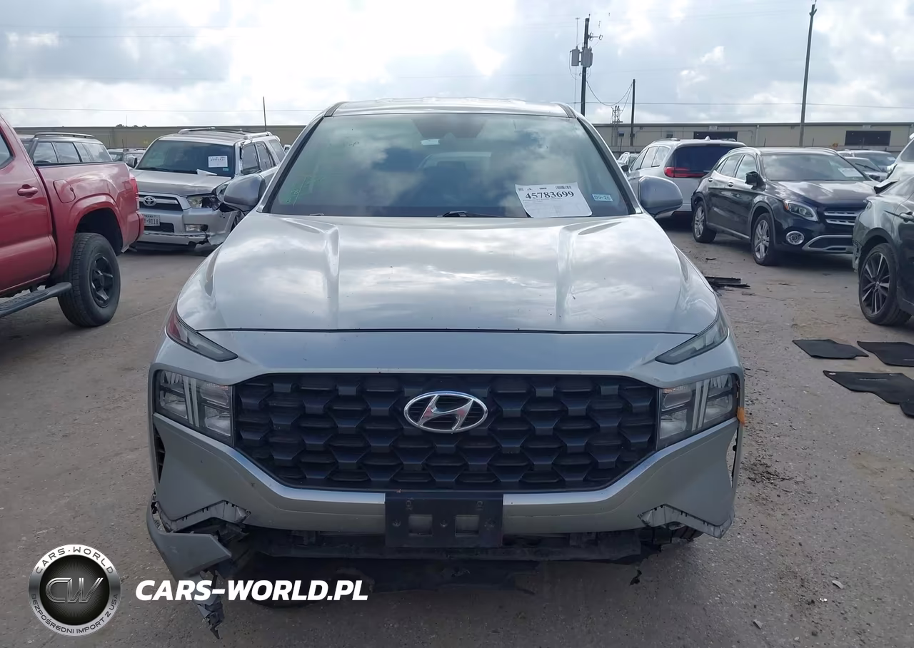 2021 Hyundai Santa Fe Se VIN:5NMS14AJ9MH317446 - 12