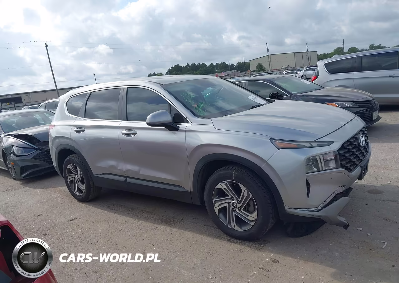 2021 Hyundai Santa Fe Se VIN:5NMS14AJ9MH317446 - 13