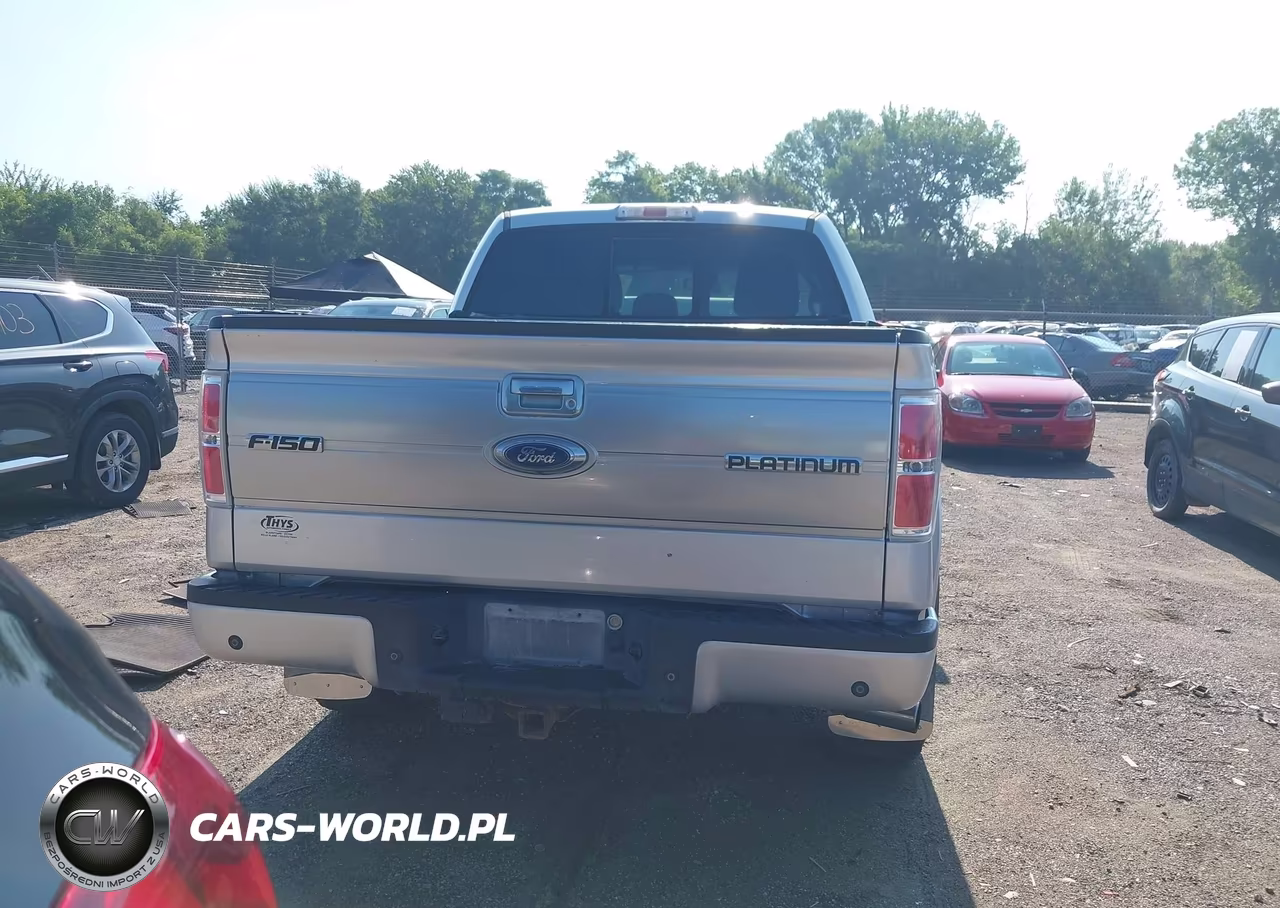 2014 Ford F-150 Platinum VIN:1FTFW1ET3EFA91321 - 17
