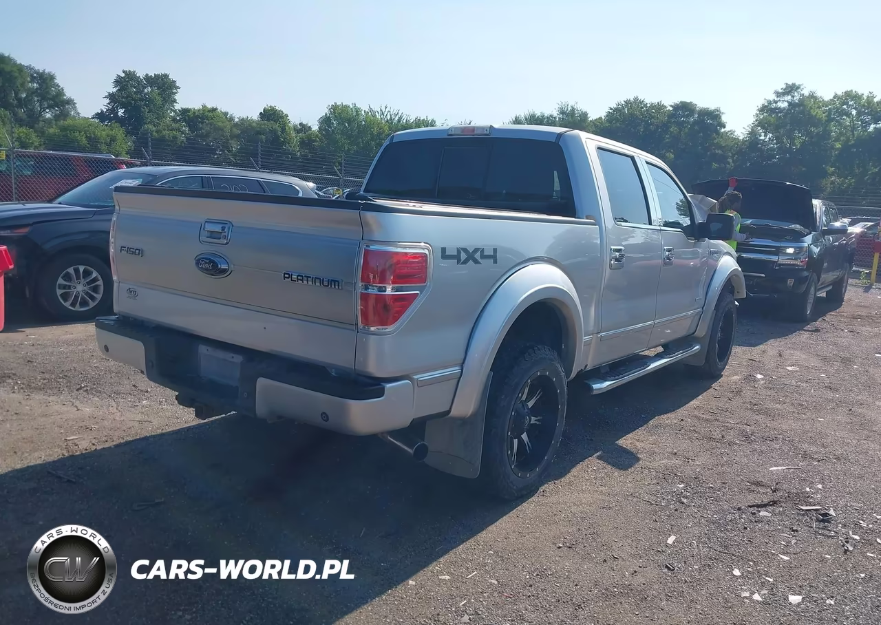 2014 Ford F-150 Platinum VIN:1FTFW1ET3EFA91321 - 4