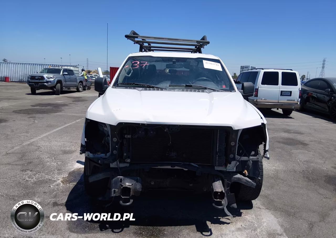 2019 Ford F-150 Xl VIN:1FTEW1E57KFB09795 - 13