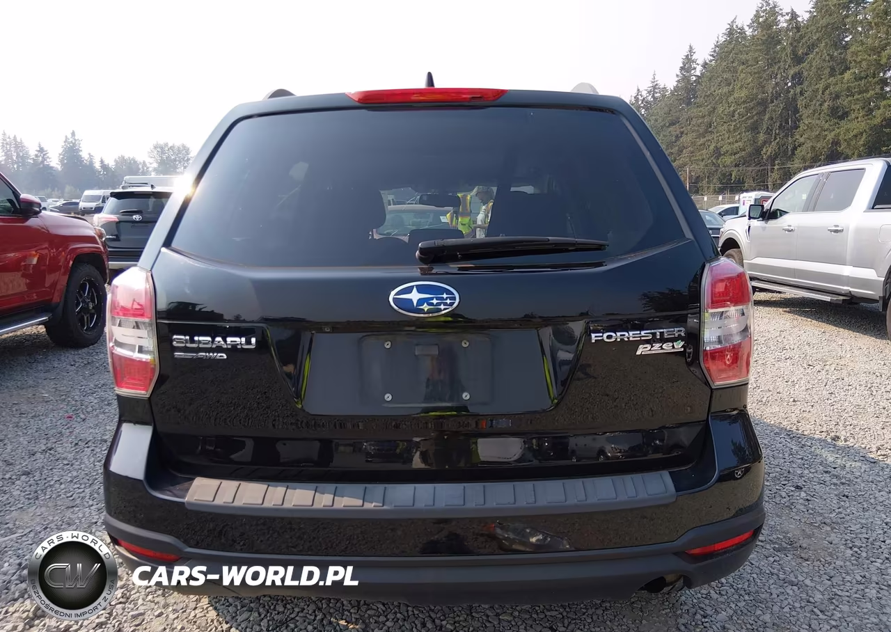 2016 Subaru Forester 2.5I Premium VIN:JF2SJADC3GH546255 - 17