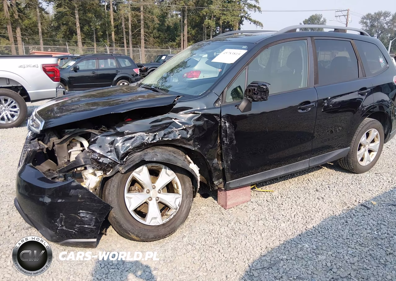 2016 Subaru Forester 2.5I Premium VIN:JF2SJADC3GH546255 - 6