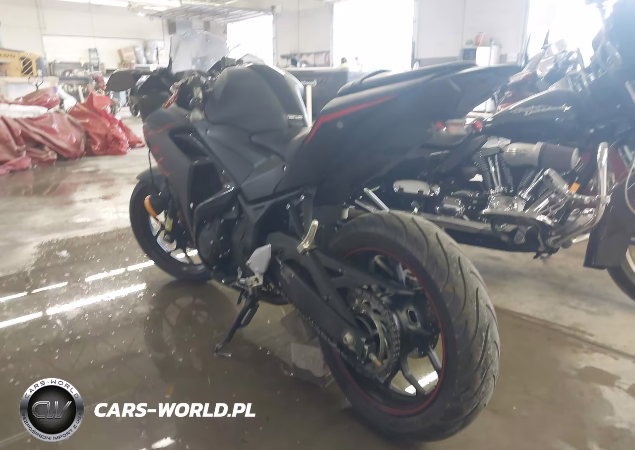 2017 Yamaha Yzfr3 A VIN:MH3RH15Y5HK001599 - 3
