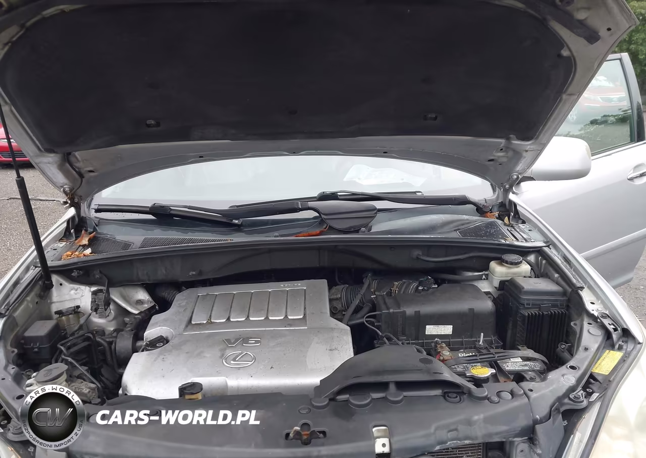 2009 Lexus Rx 350 VIN:2T2GK31U29C059030 - 10