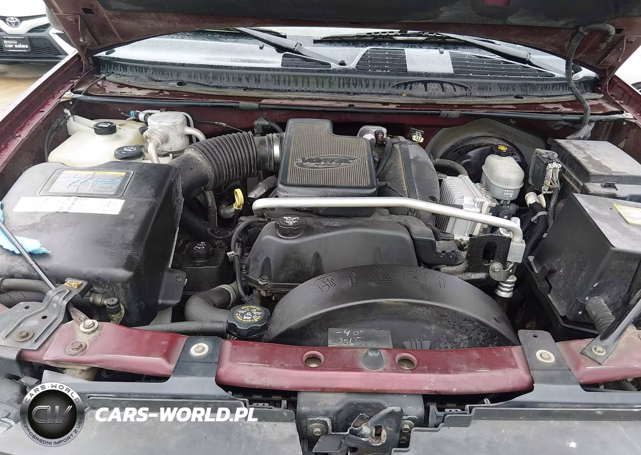 2004 Chevrolet Trailblazer Ext Ls VIN:1GNET16S146164136 - 10