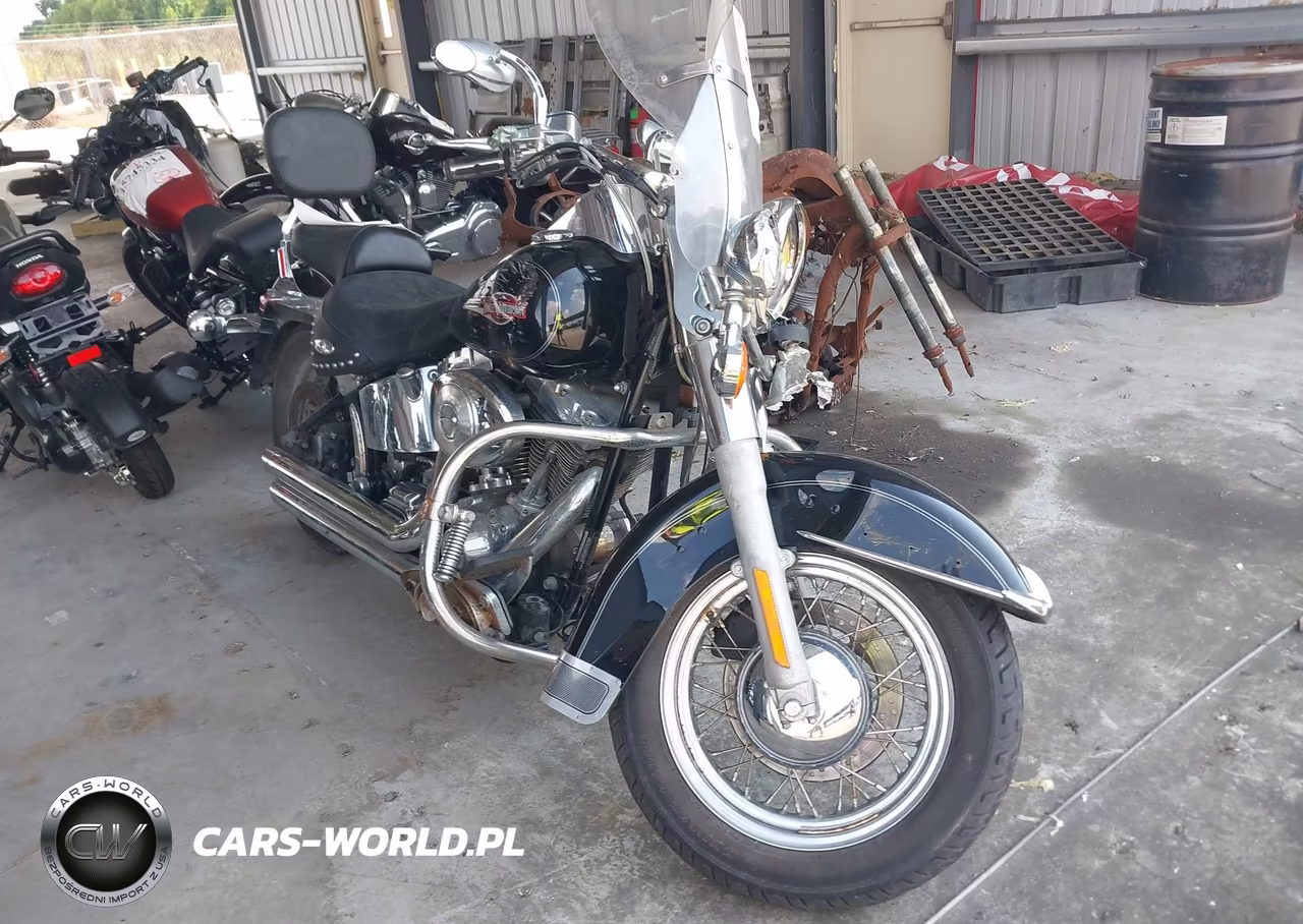 2006 Harley-Davidson Flstci – zdjęcie 1 z 12