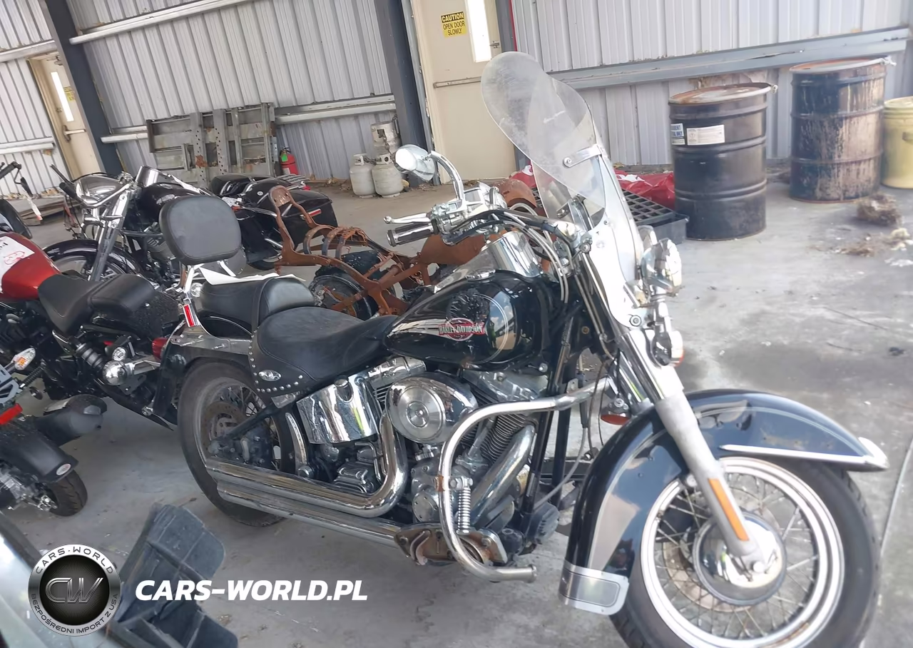 2006 Harley-Davidson Flstci VIN:1HD1BWB1X6Y089687 - 11