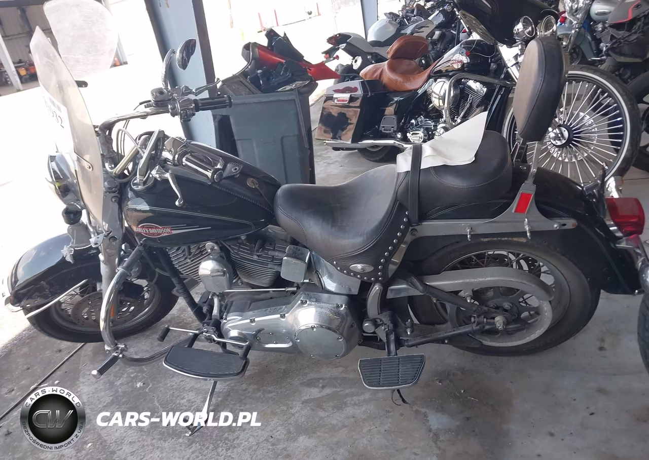 2006 Harley-Davidson Flstci VIN:1HD1BWB1X6Y089687 - 12