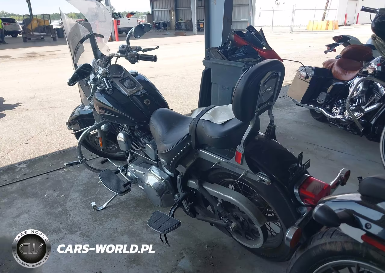 2006 Harley-Davidson Flstci VIN:1HD1BWB1X6Y089687 - 3
