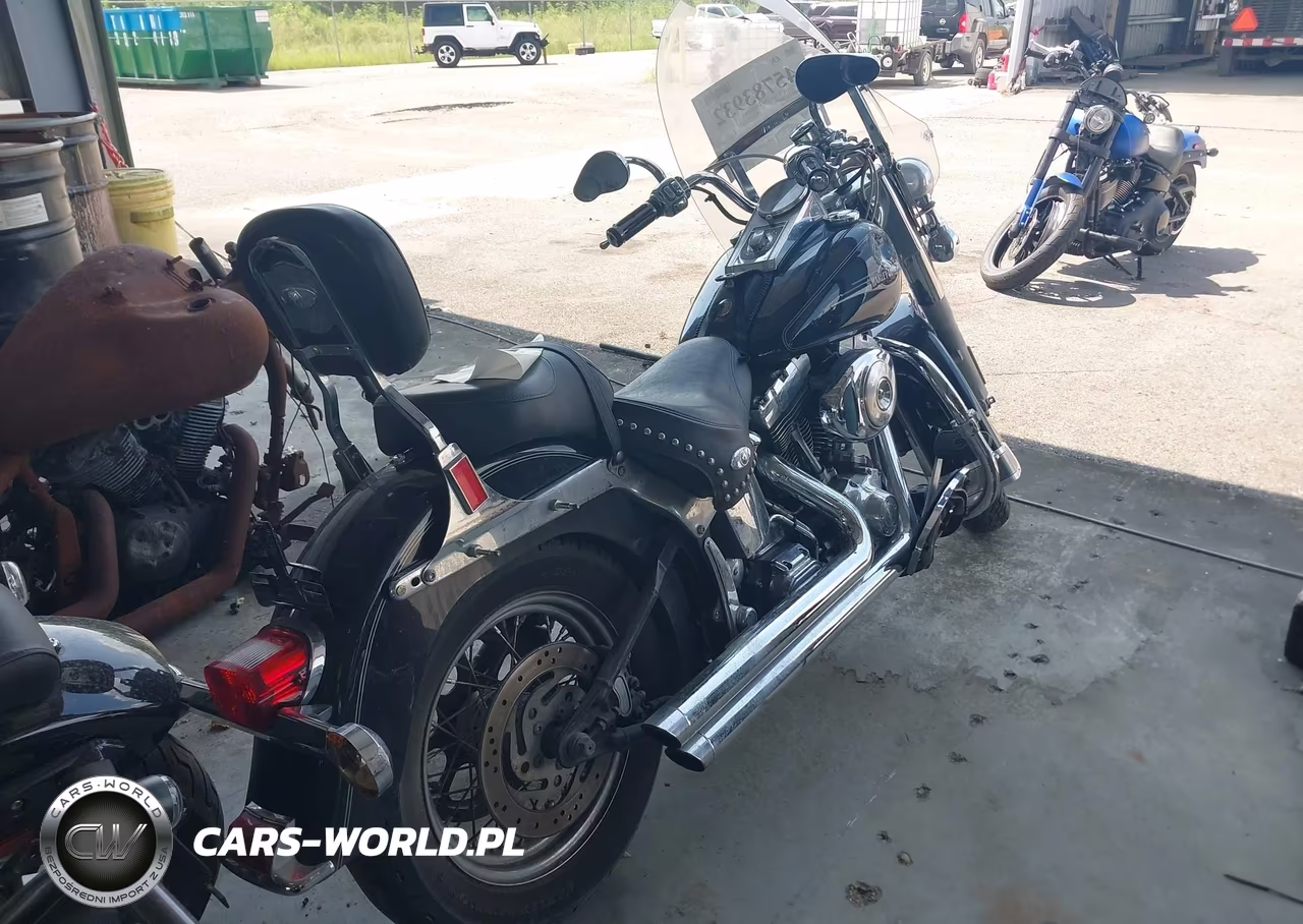 2006 Harley-Davidson Flstci VIN:1HD1BWB1X6Y089687 - 4