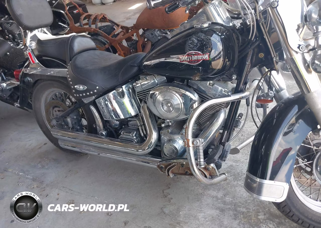 2006 Harley-Davidson Flstci VIN:1HD1BWB1X6Y089687 - 8