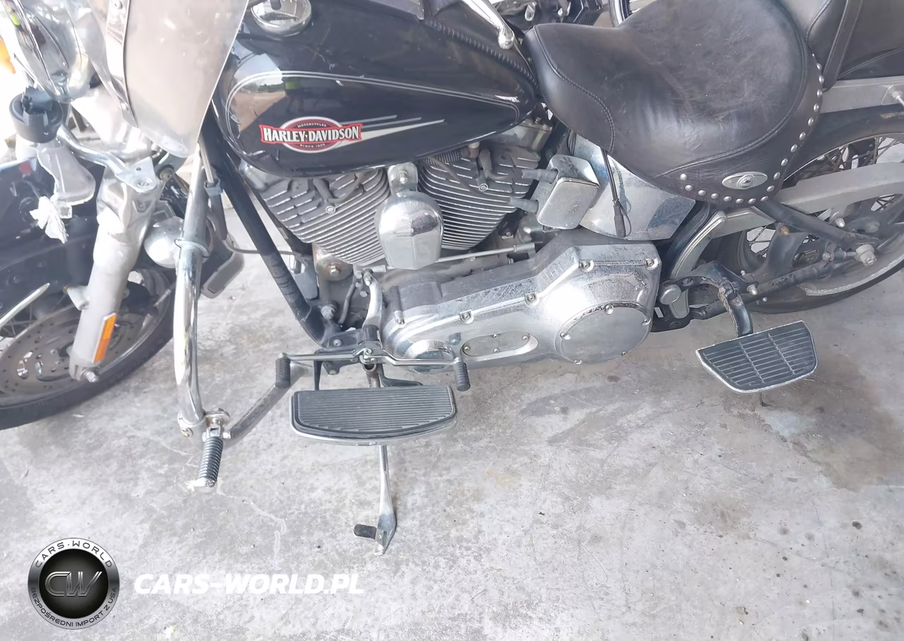 2006 Harley-Davidson Flstci VIN:1HD1BWB1X6Y089687 - 9