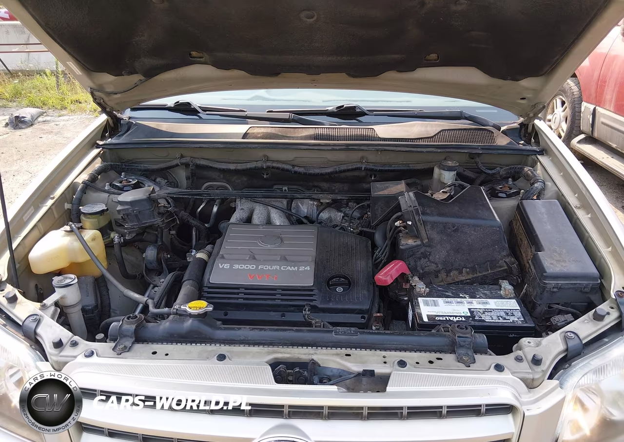 2002 Toyota Highlander Limited V6 VIN:JTEGF21A520037866 - 10