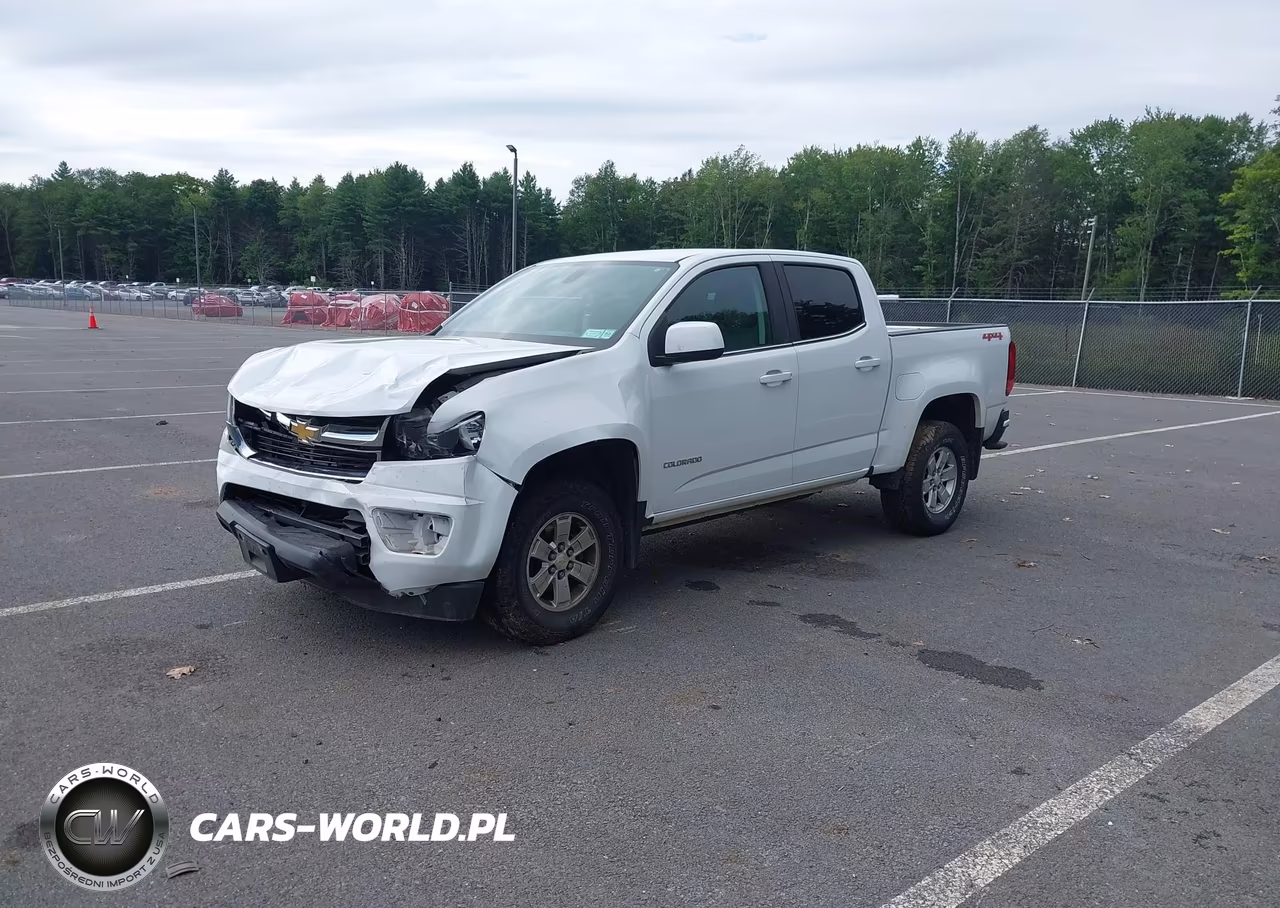 2019 Chevrolet Colorado Wt VIN:1GCGTBEN4K1112674 - 2