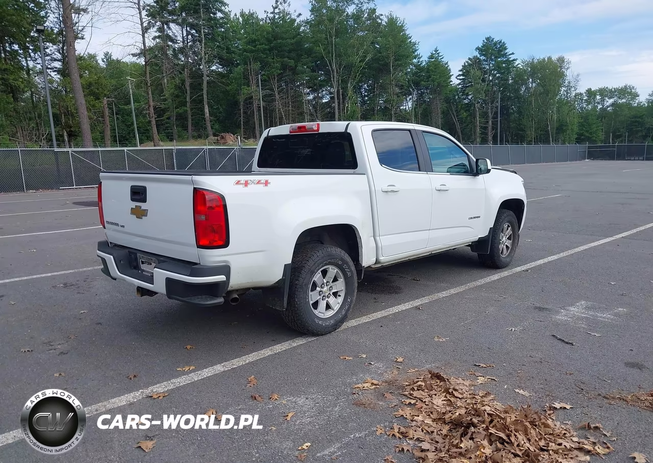 2019 Chevrolet Colorado Wt VIN:1GCGTBEN4K1112674 - 4
