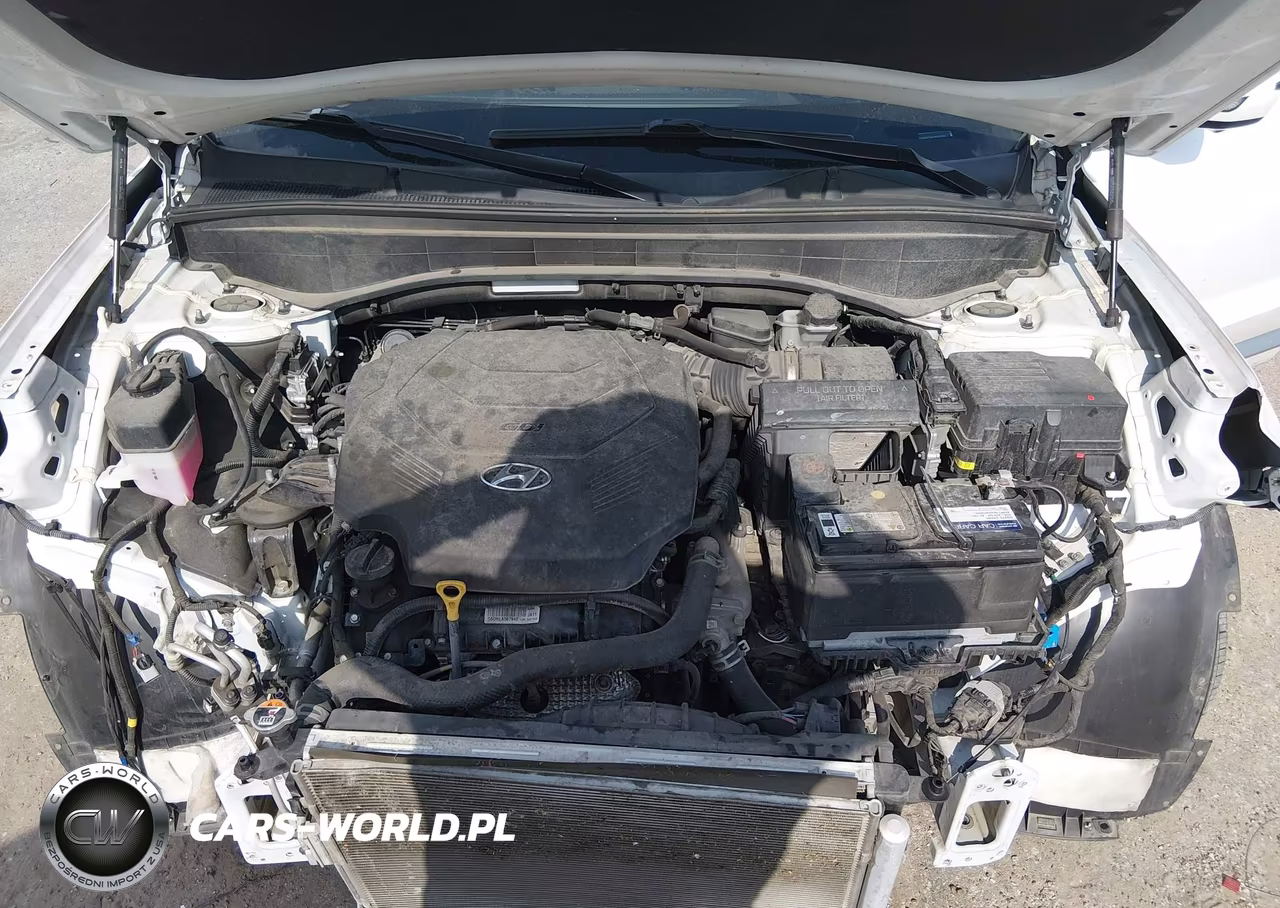 2021 Hyundai Palisade Calligraphy VIN:KM8R74HE3MU269386 - 10