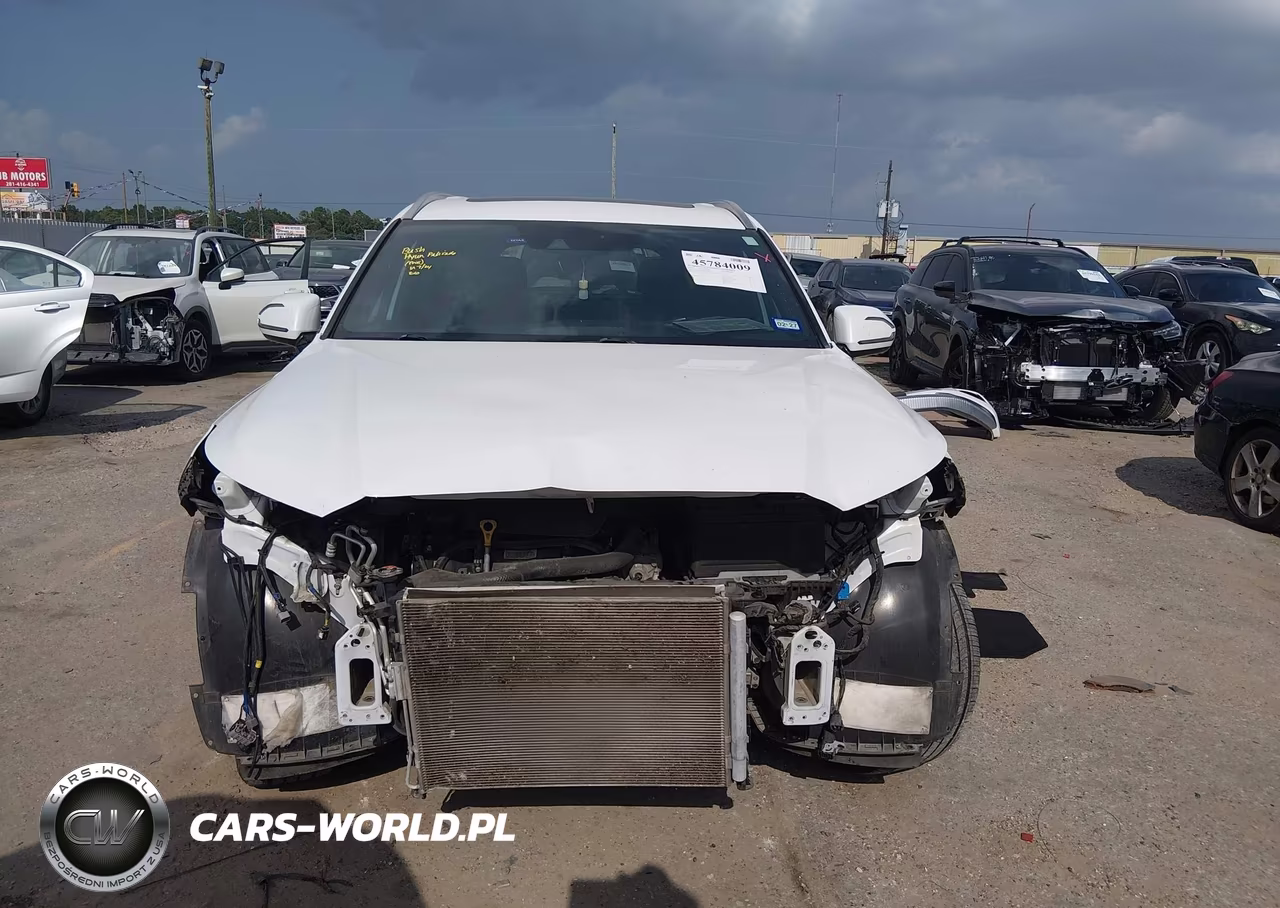 2021 Hyundai Palisade Calligraphy VIN:KM8R74HE3MU269386 - 13