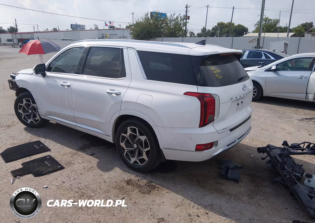 2021 Hyundai Palisade Calligraphy VIN:KM8R74HE3MU269386 - 3