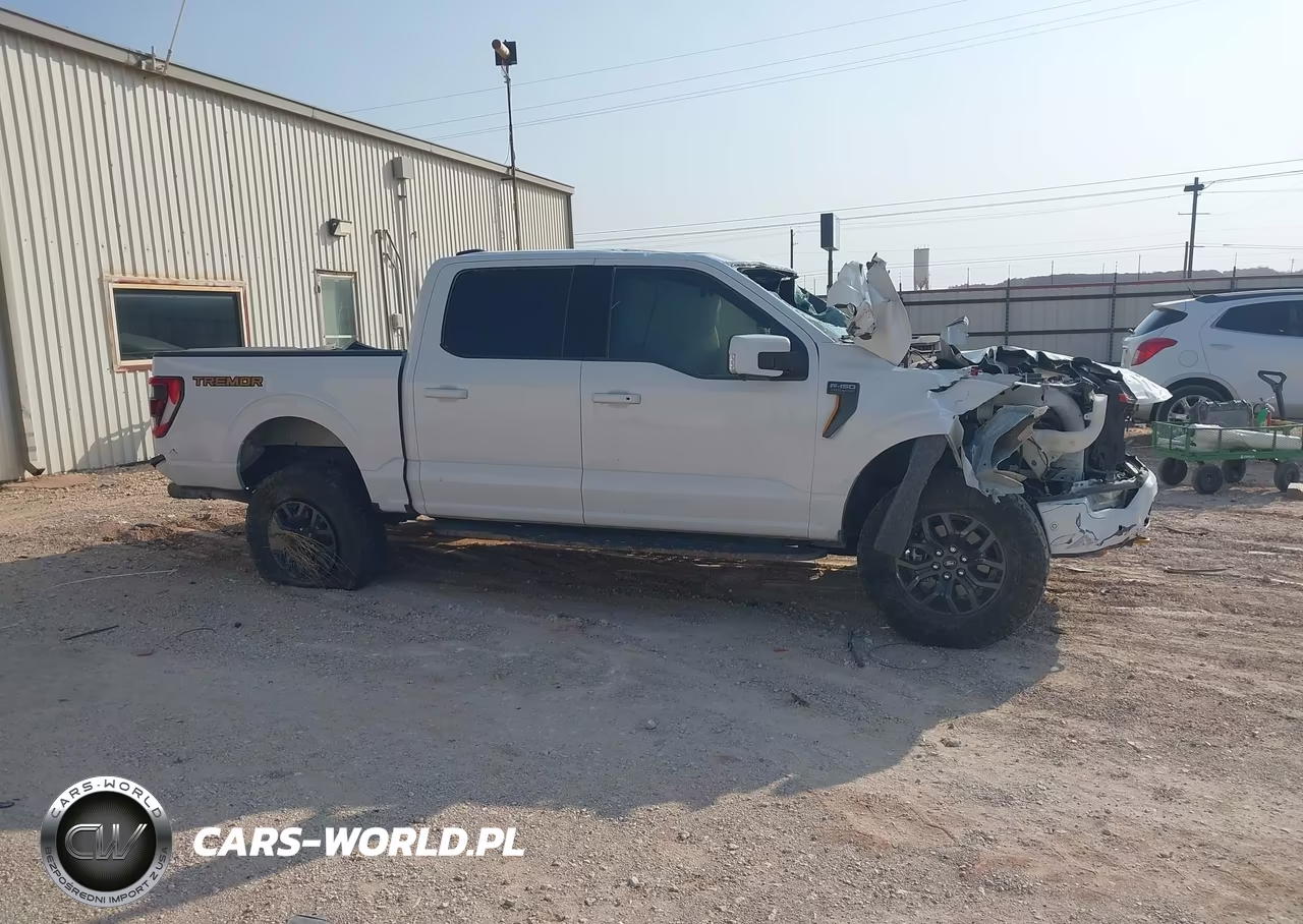 2021 Ford F-150 Tremor VIN:1FTEW1E81MFC88056 - 12
