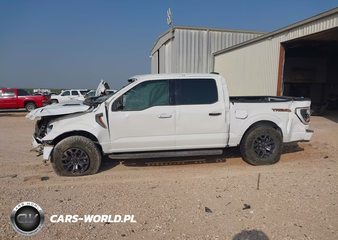 2021 Ford F-150 Tremor VIN:1FTEW1E81MFC88056 - 13
