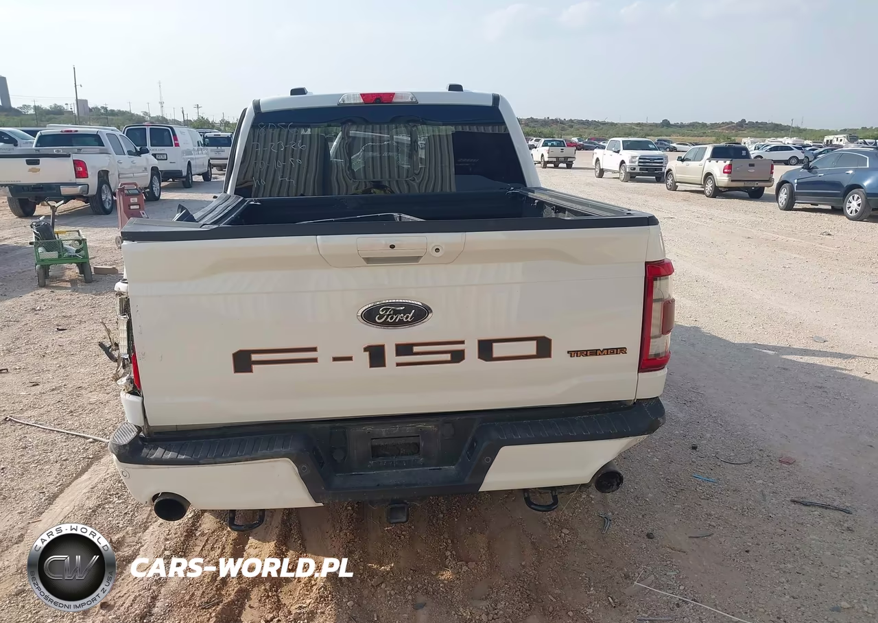 2021 Ford F-150 Tremor VIN:1FTEW1E81MFC88056 - 15