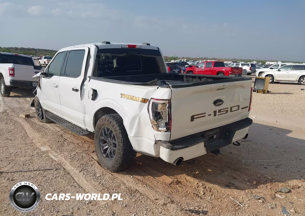 2021 Ford F-150 Tremor VIN:1FTEW1E81MFC88056 - 3